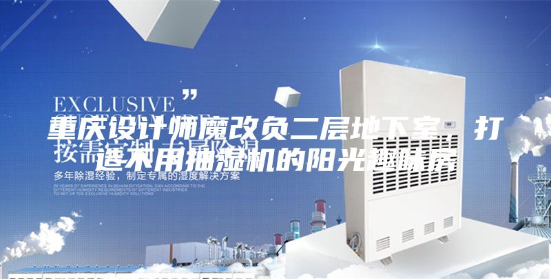 重庆设计师魔改负二层地下室，打造不用抽湿机的阳光趣味房