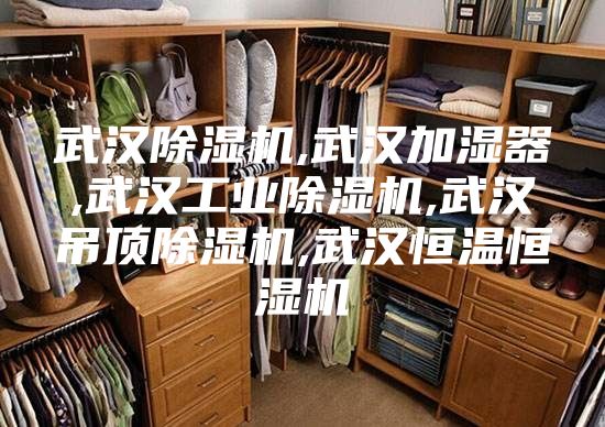 武汉除湿机,武汉加湿器,武汉工业除湿机,武汉吊顶除湿机,武汉恒温恒湿机
