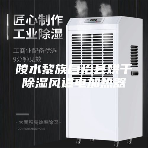 陵水黎族自治县烘干除湿风道电加热器