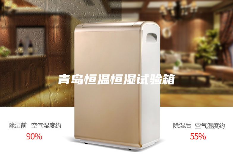 青岛恒温恒湿试验箱