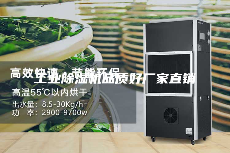 工业除湿机品质好厂家直销
