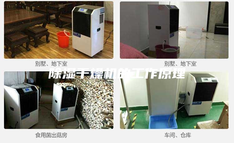 除湿干燥机的工作原理