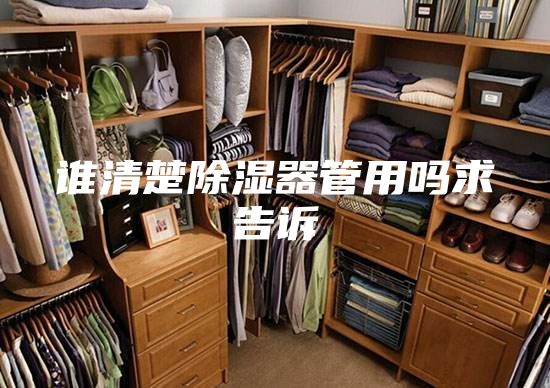 谁清楚除湿器管用吗求告诉