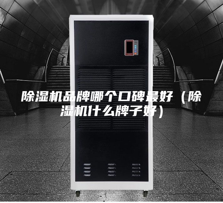 除湿机品牌哪个口碑最好（除湿机什么牌子好）