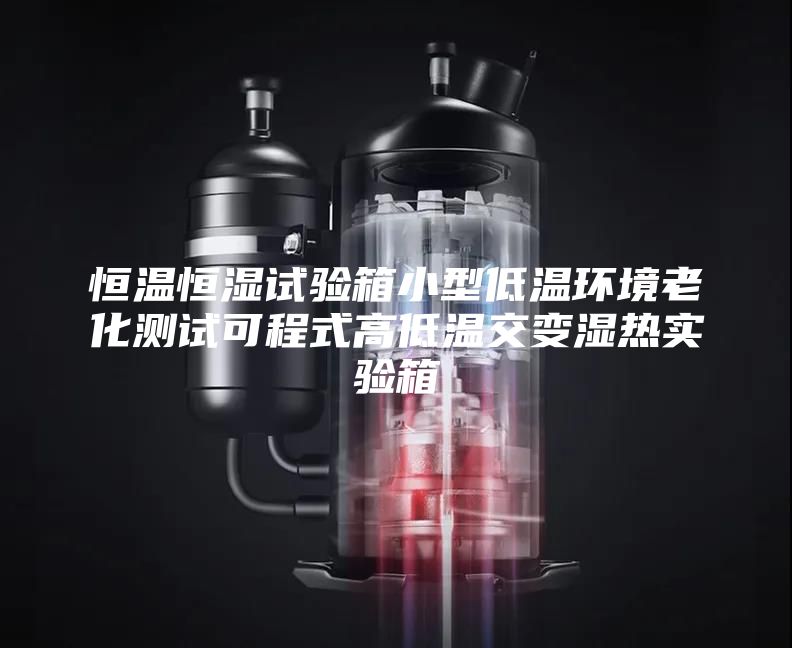 恒温恒湿试验箱小型低温环境老化测试可程式高低温交变湿热实验箱