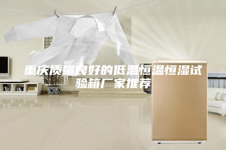 重庆质量良好的低温恒温恒湿试验箱厂家推荐