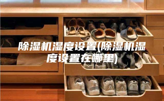 除湿机湿度设置(除湿机湿度设置在哪里)