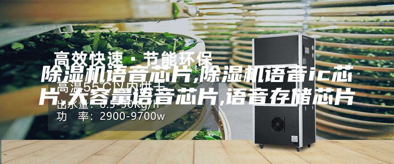 除湿机语音芯片,除湿机语音ic芯片,大容量语音芯片,语音存储芯片