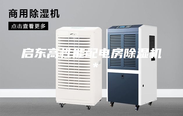 启东高性能配电房除湿机＊