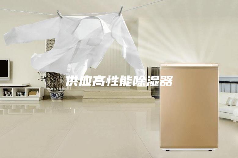 供应高性能除湿器
