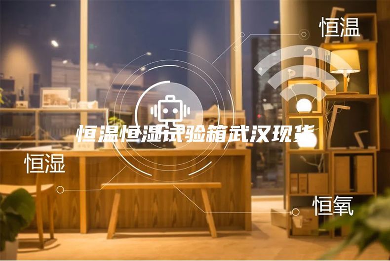 恒温恒湿试验箱武汉现货