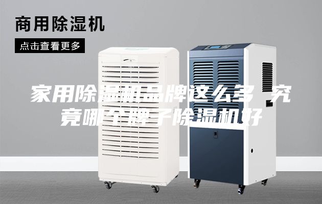 家用除湿机品牌这么多 究竟哪个牌子除湿机好