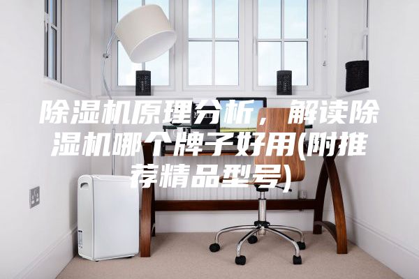 除湿机原理分析，解读除湿机哪个牌子好用(附推荐精品型号)