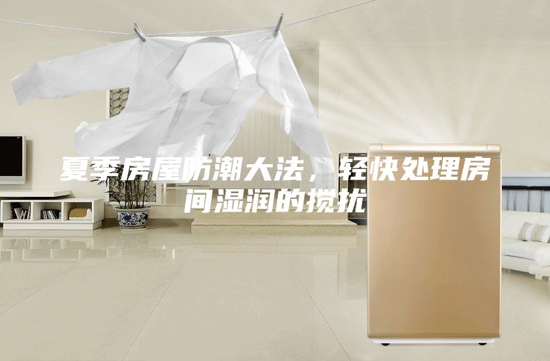 夏季房屋防潮大法，轻快处理房间湿润的搅扰