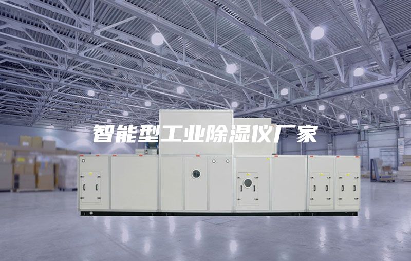 智能型工业除湿仪厂家