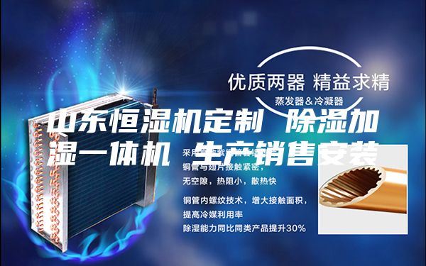 山东恒湿机定制 除湿加湿一体机 生产销售安装