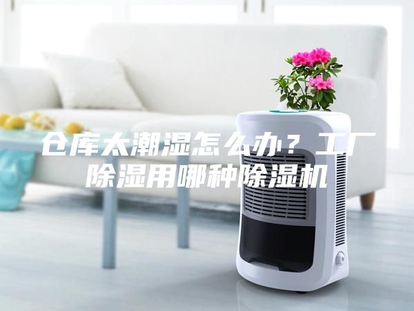 仓库太潮湿怎么办？工厂除湿用哪种除湿机