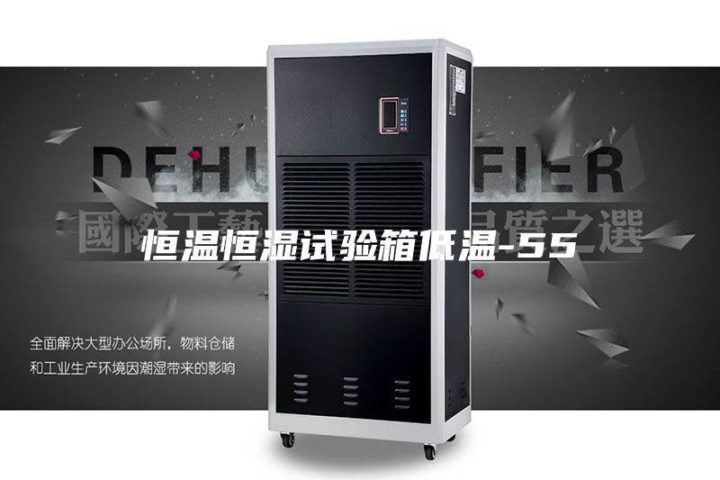 恒温恒湿试验箱低温-55℃