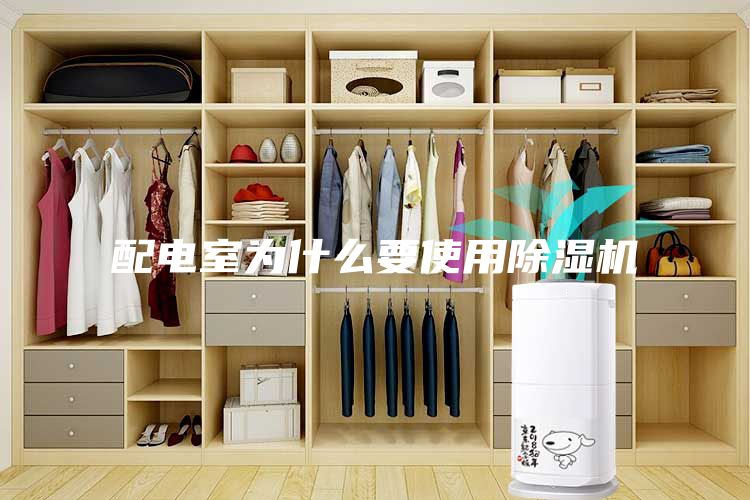 配电室为什么要使用除湿机