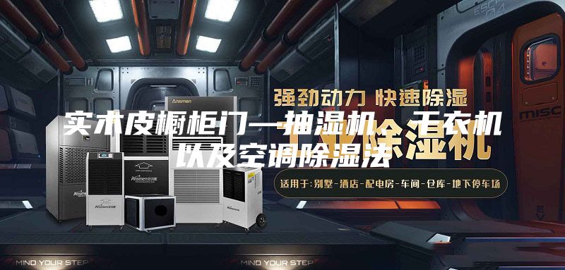 实木皮橱柜门—抽湿机、干衣机以及空调除湿法