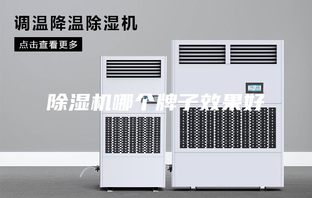 除湿机哪个牌子效果好