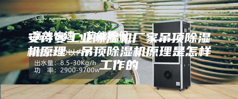 安诗曼工业除湿机厂家吊顶除湿机原理—吊顶除湿机原理是怎样工作的