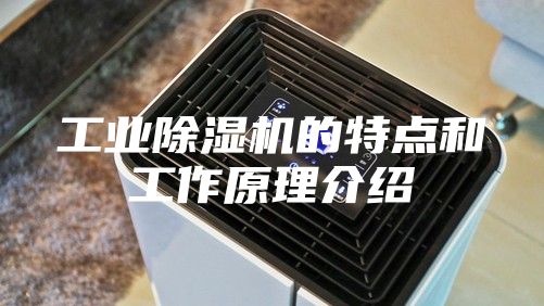工业除湿机的特点和工作原理介绍