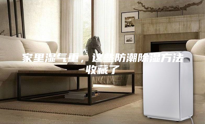 家里湿气重，这些防潮除湿方法收藏了