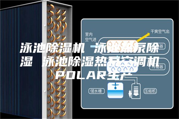 泳池除湿机 泳池热泵除湿 泳池除湿热泵空调机 POLAR生产