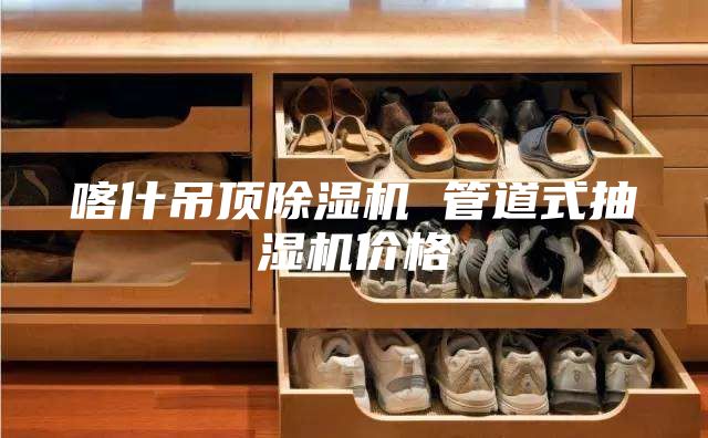 喀什吊顶除湿机 管道式抽湿机价格