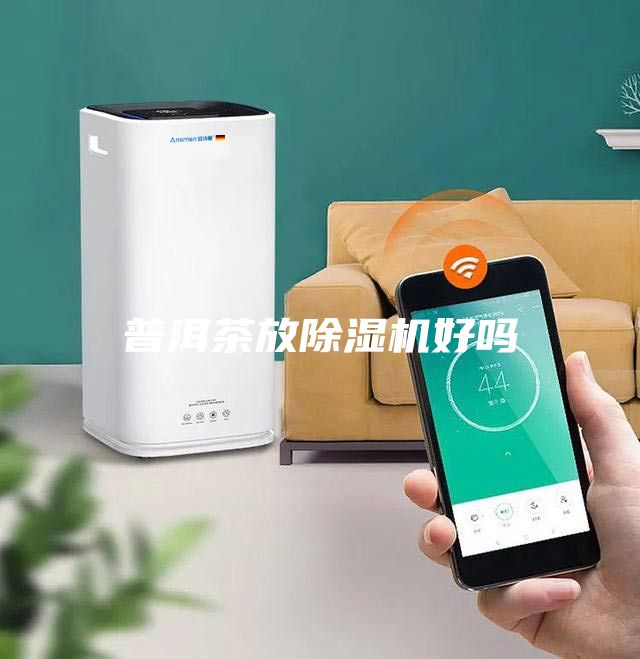普洱茶放除湿机好吗
