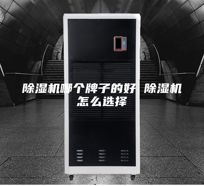 除湿机哪个牌子的好 除湿机怎么选择
