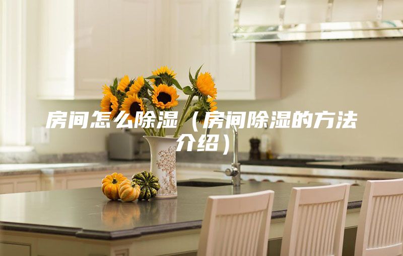 房间怎么除湿（房间除湿的方法介绍）