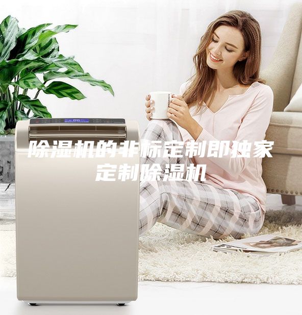 除湿机的非标定制即独家定制除湿机