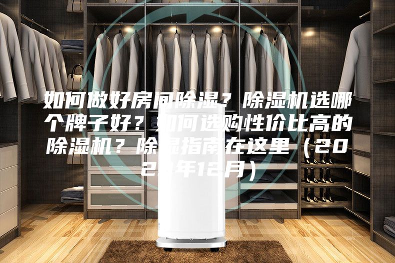 如何做好房间除湿？除湿机选哪个牌子好？如何选购性价比高的除湿机？除湿指南在这里（2023年12月）