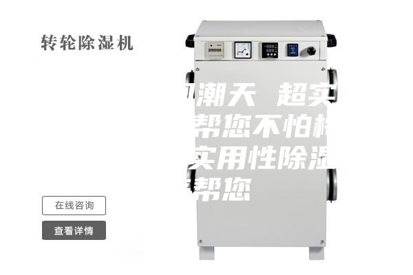 不怕梅雨回潮天 超实用性除湿器来帮您不怕梅雨回潮天 超实用性除湿器来帮您