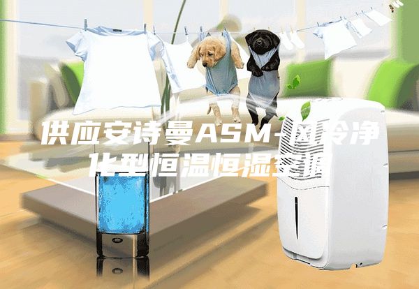供应安诗曼ASM-风冷净化型恒温恒湿空调