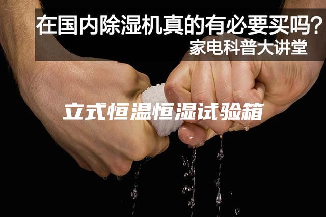 立式恒温恒湿试验箱