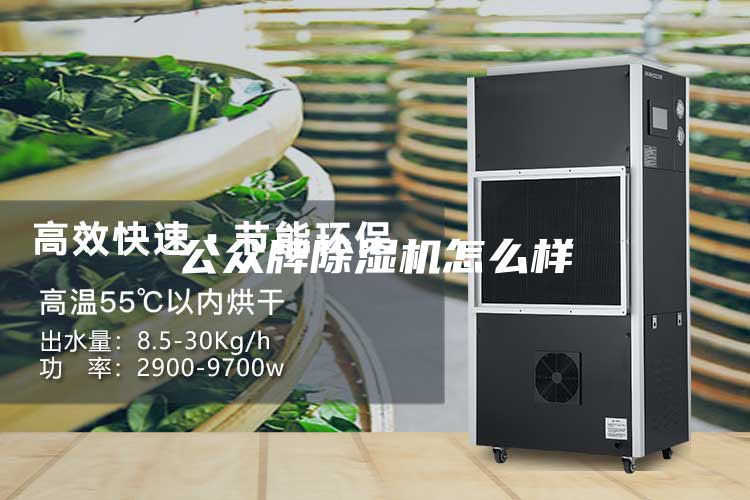 公众牌除湿机怎么样