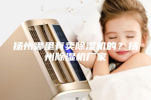 扬州哪里有卖除湿机的？扬州除湿机厂家