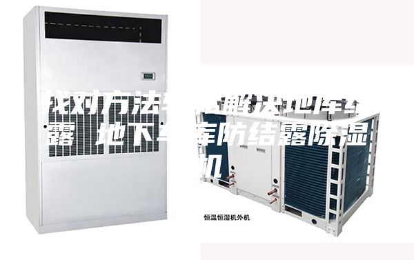 找对方法轻松解决地库结露 地下车库防结露除湿机