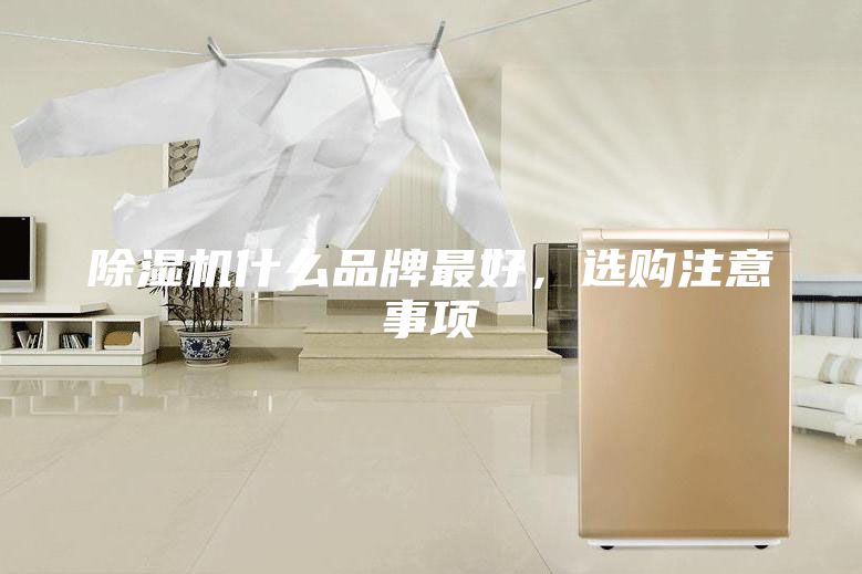 除湿机什么品牌最好，选购注意事项