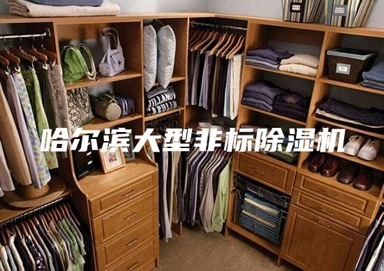 哈尔滨大型非标除湿机