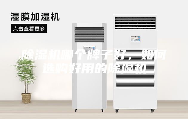 除湿机哪个牌子好，如何选购好用的除湿机