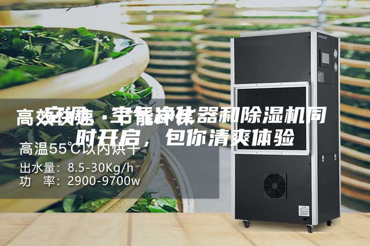 空调、空气净化器和除湿机同时开启，包你清爽体验