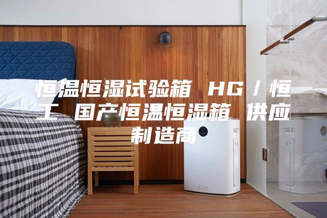 恒温恒湿试验箱 HG／恒工 国产恒温恒湿箱 供应制造商