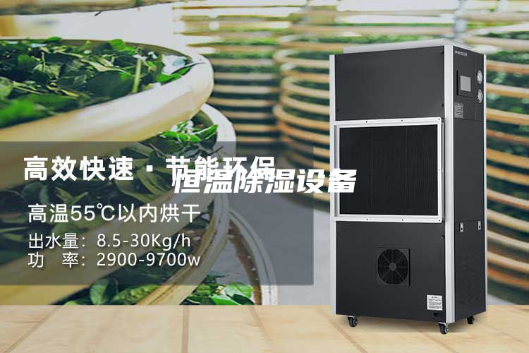 恒温除湿设备