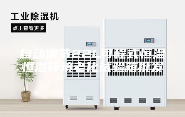 自动调节22L可程式恒温恒湿环境老化试验箱批发