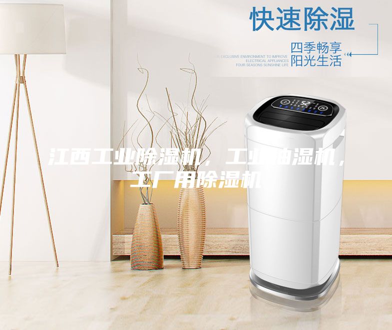 江西工业除湿机，工业抽湿机，工厂用除湿机