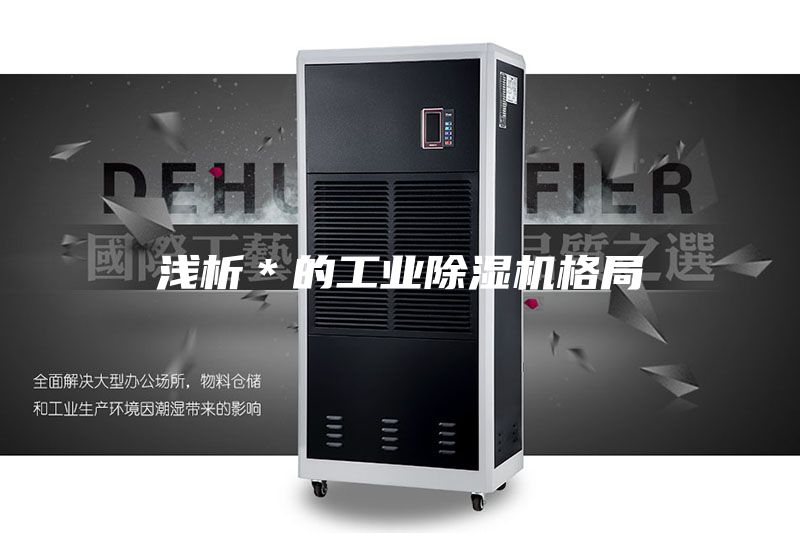 浅析＊的工业除湿机格局